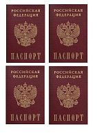 Сахарная картинка Паспорт С102
